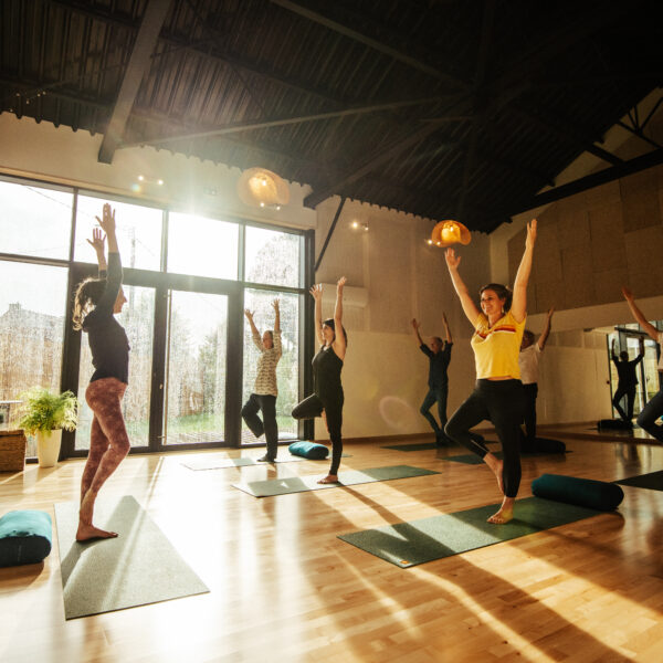 séance à la carte de yoga traditionnel dans le studio le cerisier à bailleul